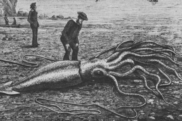 Kraken рабочая ссылка 2025