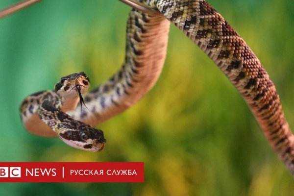 Кракен не работает тор