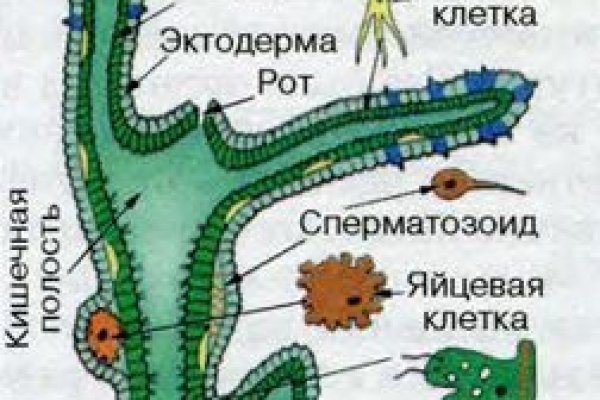 Кракен это современный даркнет маркет