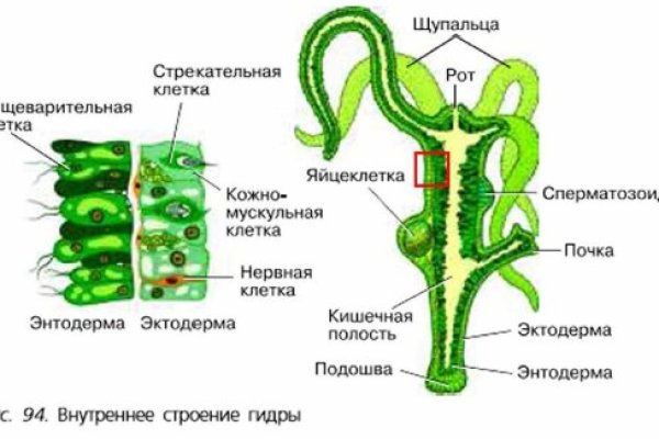 Кракен актуальные