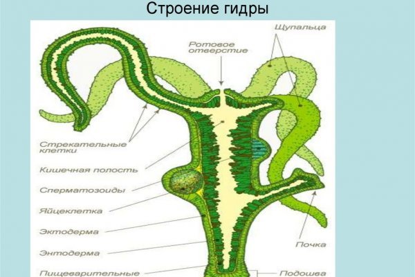 Восстановить доступ к кракену