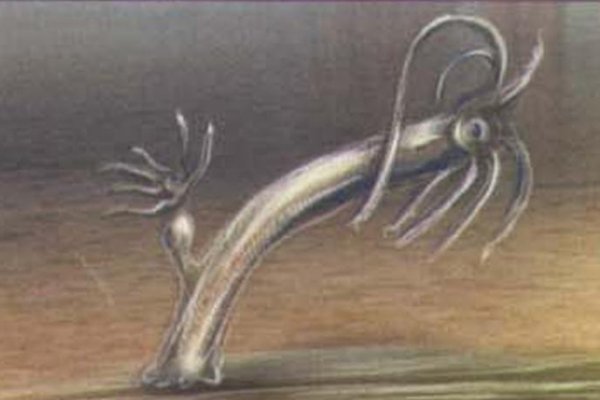 Кракен сайт kraken2
