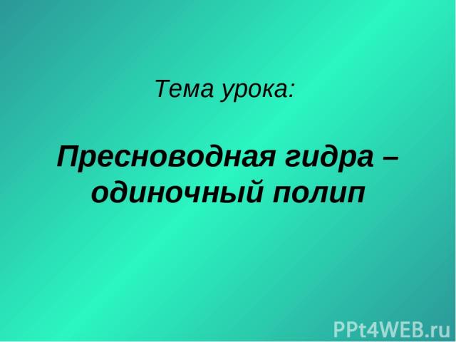 Кракен маркет наркотики