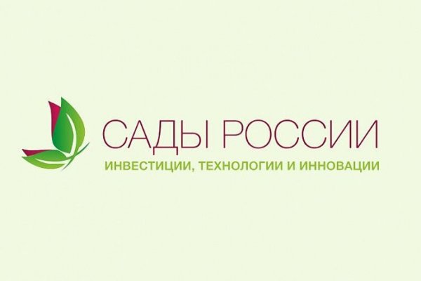 Кракен 16