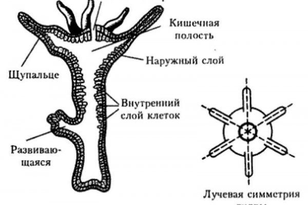 Kra36at