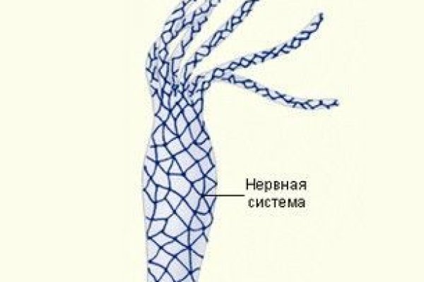 Рабочая ссылка кракен в тор