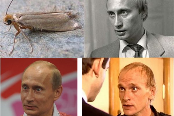 Kra48.cc Вход на сайт главная страница
